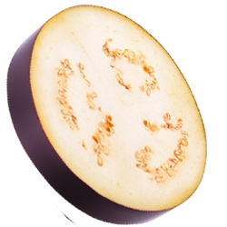 What&apos;s in Store for Naya India