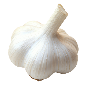 What&apos;s in Store for Naya India