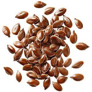 What&apos;s in Store for Naya India