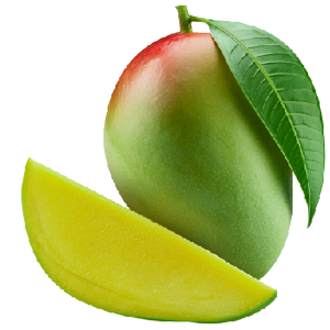 What&apos;s in Store for Naya India